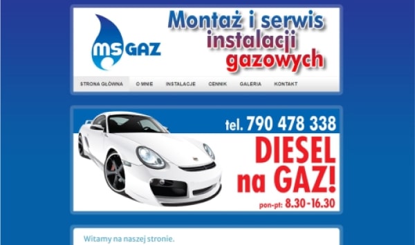 MS-Gaz